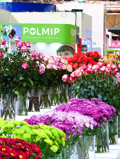 ACAMIP en Proflora mostrando soluciones para floricultores.